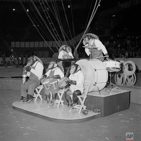 Ringling S Evolution From Freak Shows To The Big Top — Ap Images Spotlight
