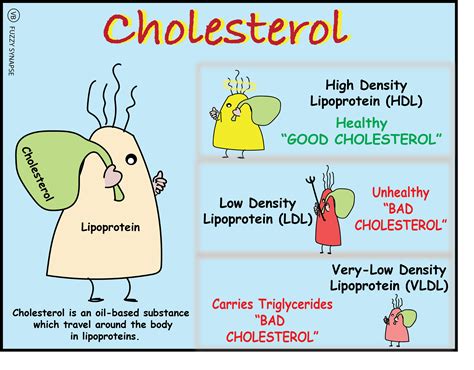 Cholesterol Fuzzy Synapse