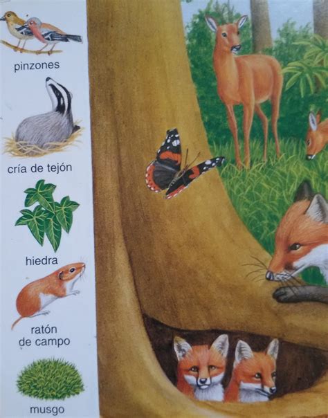 cuaderno de una bióloga de bota libros sobre fauna y flora autóctona para niños