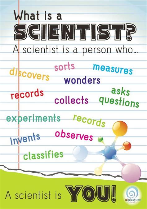 What Is A Scientist Free Classroom Poster What Is A Scientist