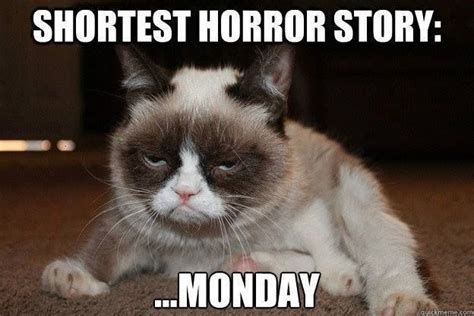 Its Monday Grumpy Cat Grumpy Cat Meme Grumpy Cat Quotes