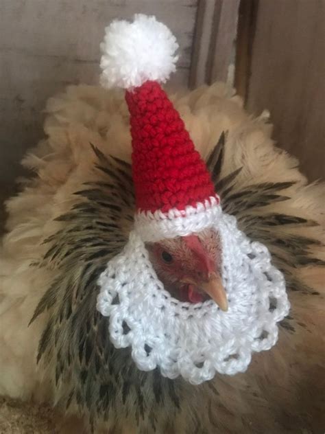 50 Chickens Ready For Fall With Their Adorable Knitted Outfits In 2023 Crochet Chicken