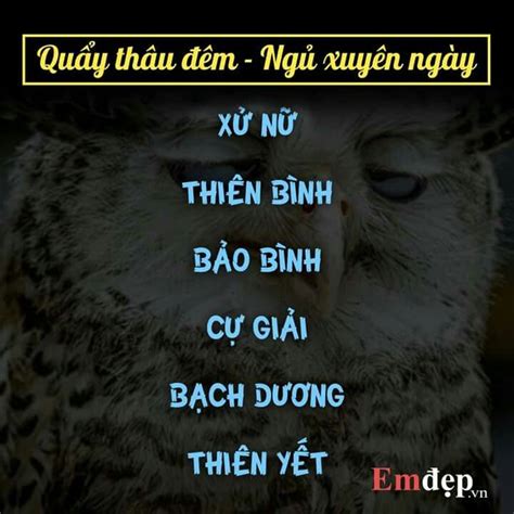 Chuyện tình cảm của bạn sẽ đi đến đâu? Ghim của thương nguyễn trên 12 tháng sinh và cung hoàng ...