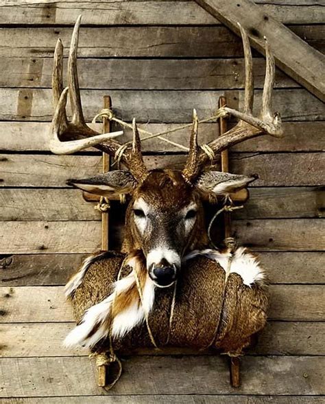 Skg Outdoors Network On Instagram What An Amazing Idea For A Mount