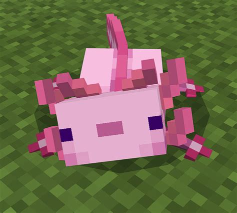 Better Axolotls 3d Details Minecraft Texture Packaddon