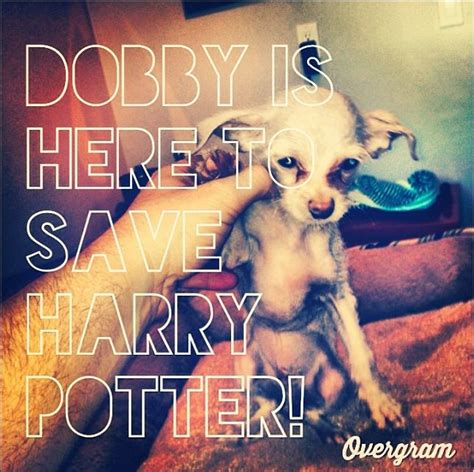 Yes, harry potter! said dobby at once, his great eyes shining with excitement. Dobby is here to save Harry Potter | Harry james potter, Harry potter quotes, Harry potter