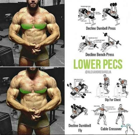 Lower Chest Workout Chest Workout Routine Chest Workouts Bodyweight