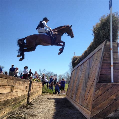 Pin By Melissa Leyden On Horses Cross Country Jumps Horse