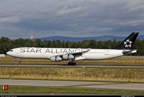 Lufthansa Cityline Airbus A340 D Aigw Fhoto 2933 Airfleets Aviación
