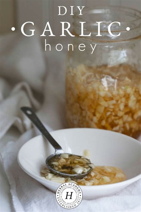 diy garlic honey for for cold and flu season preparation