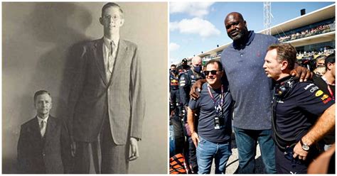 7 Ft Shaquille Oneal Looks Tiny Next To The Tallest Man Who Ever Lived