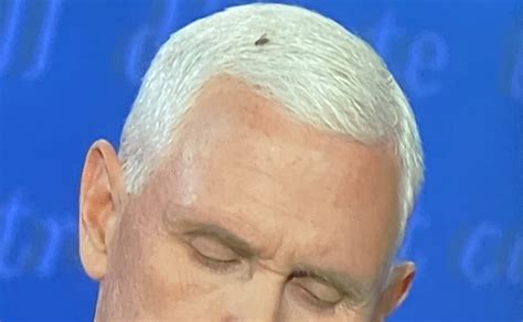 The Buzziest Memes Of The Mike Pence Fly Incident