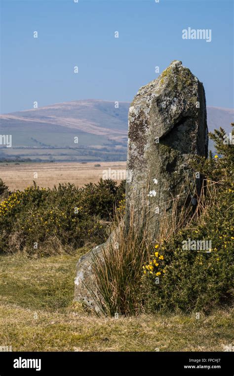 The Dreaming Stone Gors Fawr Preseli Hills Pembrokeshire Uk Stock