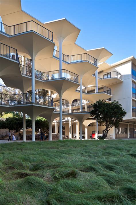 Многоликий модернизм Калифорнийский университет в Сан Диего