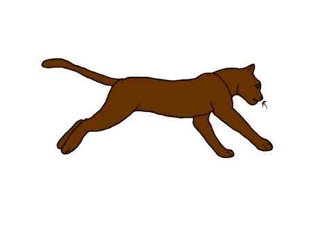 Running Cat Animated Gif