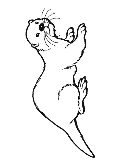 Simple Otter Drawing At Getdrawings Free Download