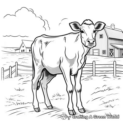 Dairy Cow Coloring Pages - Free & Printable!