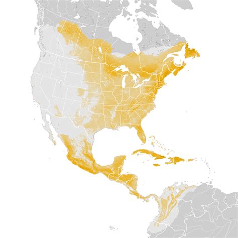 Black And White Warbler Abundance Map Post Breeding Migration