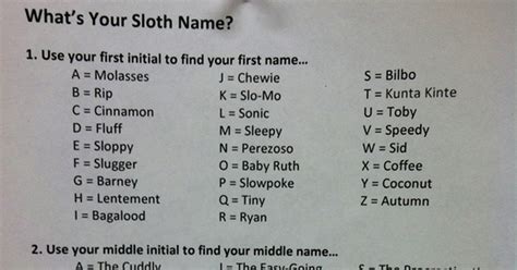 Its International Sloth Day So Whats Your Sloth Name The Poke