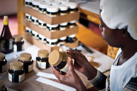 Ghana's food processing sector comprises the following currently, there are about five large processing companies operating in the country all at various levels of processing. How Agribusiness Innovation Centers Contribute to Africa's ...