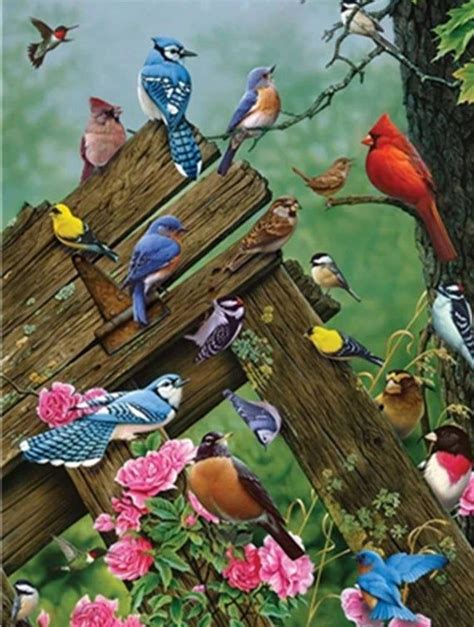 Usa Seller Birds On A Fence Paint By Number Kit Fast Shipping By
