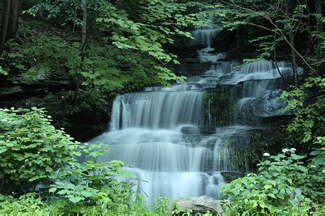 Royalty Free Photo Waterfalls Near Green Trees At Daytime Pickpik