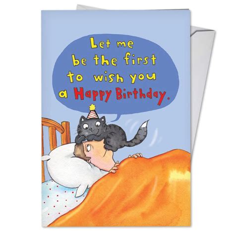 C3791hbdg Funny Single Birthday Greeting Card Cat On Head With