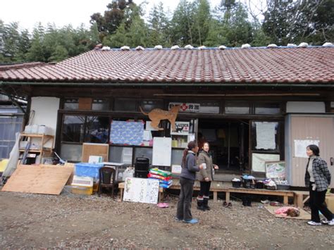 TNR Japan Animal Welfare Hospital 2011年12月