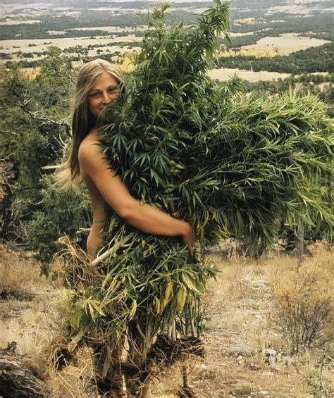 A Girl With Her Massive Bush 1970s R Pics