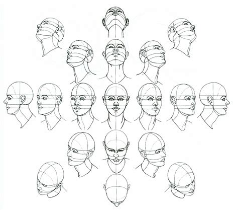 Head Perspective Full Sketches Drawing The Human Head Drawings