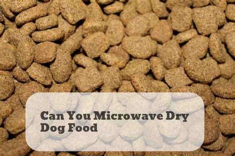 Can You Microwave Dry Dog Food Yes But Heres Why You Should Avoid