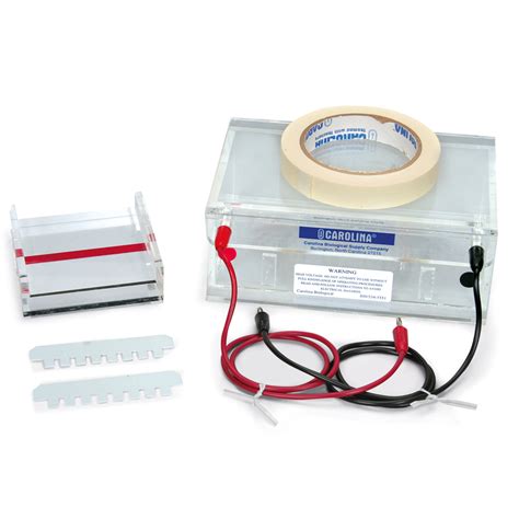 carolina™ gel electrophoresis chamber carolina biological supply