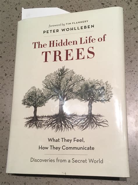 Book Review The Hidden Life Of Trees What They Feel How They