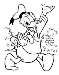 See more of 大人の塗り絵 on facebook. ディズニー 塗り絵 無料 ドナルドダック まとめ｜キャラクター ...