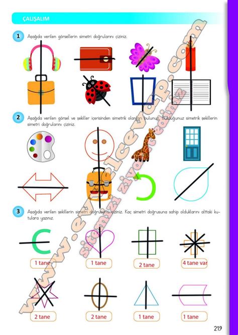 4. Sınıf Matematik MEB Yayınları Ders Kitabı Cevapları Sayfa 219 – Ders