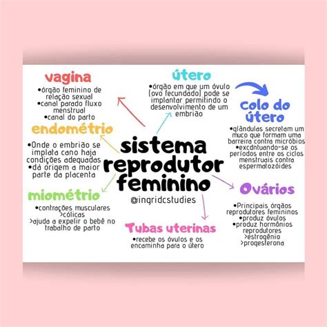 Mapa Mental Do Sistema Reprodutor
