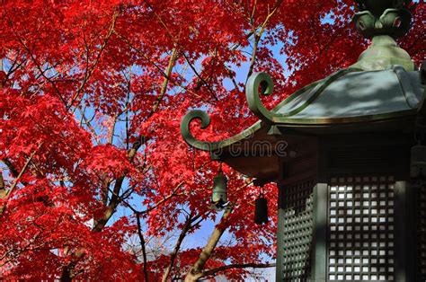 Japanese Garden In Autumn Red Leaves Kyoto Japan Stock Photo Image
