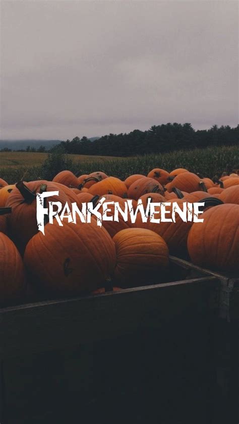 A Crate Full Of Pumpkins With The Words Frankenweene On It