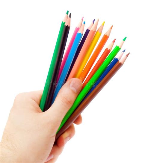 Human Hand Holding Pencils Stock Photo Image Of Tools 4787544