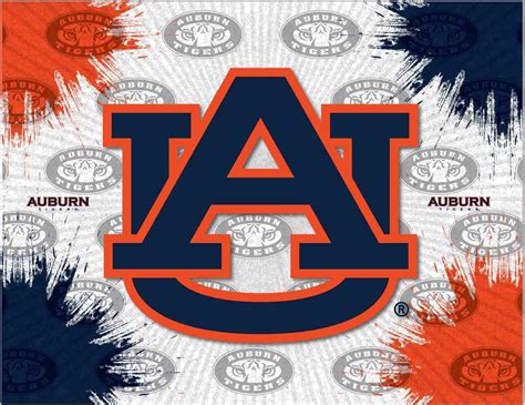 Auburn Tigers Hbs Gray Orange Navy Wall Canvas Art Picture Print In