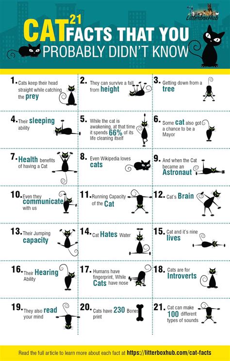 21 Cat Facts That You Probably Didnt Know Infographic Visualistan