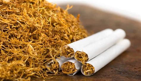 The Meaning And Symbolism Of The Word Tobacco
