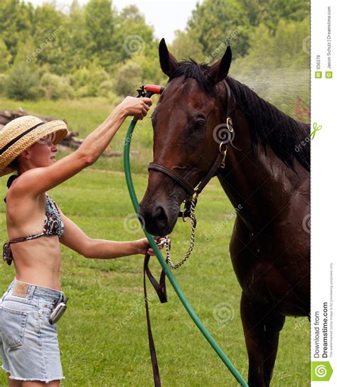 Most horses that dance around trying to avoid that freezing water will just stand still and lap up the warm bath. Horse Wash Hat Girl In Shorts 2 Stock Photo - Image: 936378