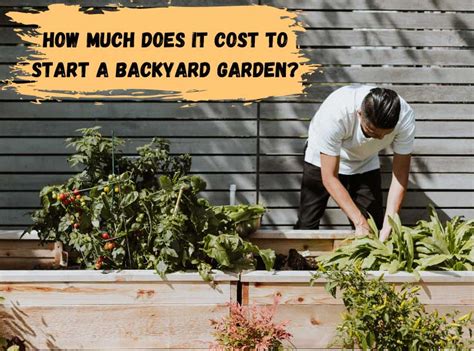 How Much Does It Cost To Start A Backyard Garden? - Pro Garden Man