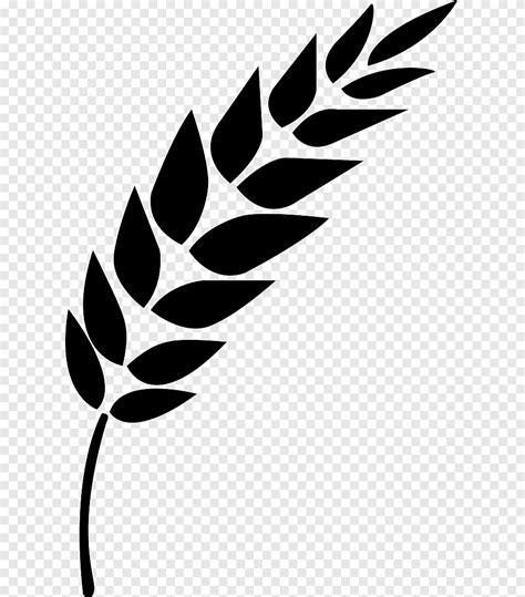Rice Cereal Computer Icons Wheat Rice Food Leaf Png Pngegg