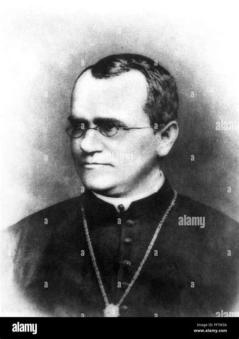 Gregor Johann Mendeln1822 1884 Austrian Augustinian Monk And