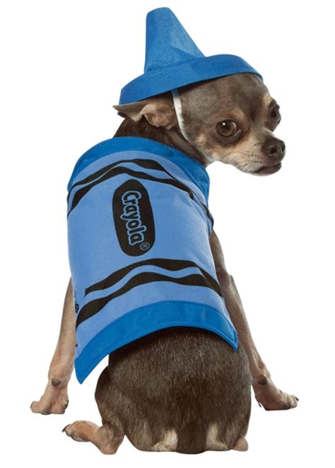 Halloween Dog Costume Ideas 32 Easy Cute Costumes For Your Canine