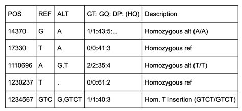 What Is A Variant Call Format Vcf File — Precision Oncology