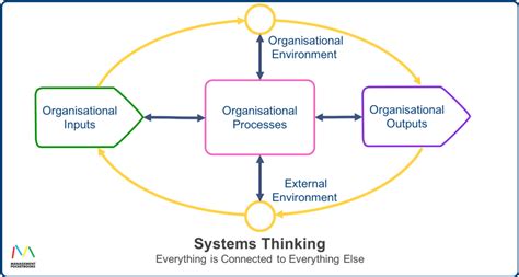 Systems Thinking - Everything is Connected to Everything Else