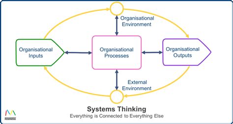 Systems Thinking Everything Is Connected To Everything Else